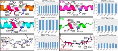 Sequence and structural insights of monoleucine-based sorting motifs contained within the cytoplasmic domains of basolateral proteins